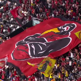 Maior do Brasil venceu hoje FLAMENGO🔥 #flamengo #botafogo #brasileirao #mengo #arrascaeta 