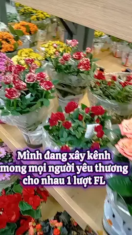 Giúp nhau 1 FL nha cả nhà mình ơi #xaykenhtiktok #mẹbimxaykenhtiktok #xâykenhtiktok #xuhuong 