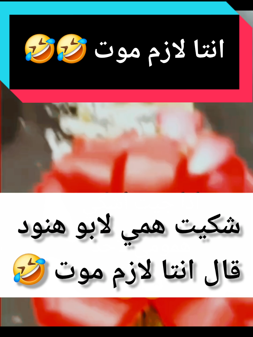 #ضحك #سالم_الشمري_ok #حايل #مالي_خلق_احط_هاشتاقات🧢 #الشعب_الصيني_ماله_حل😂 @سالم الشمري OK @سالم الشمري OK @سالم الشمري OK 