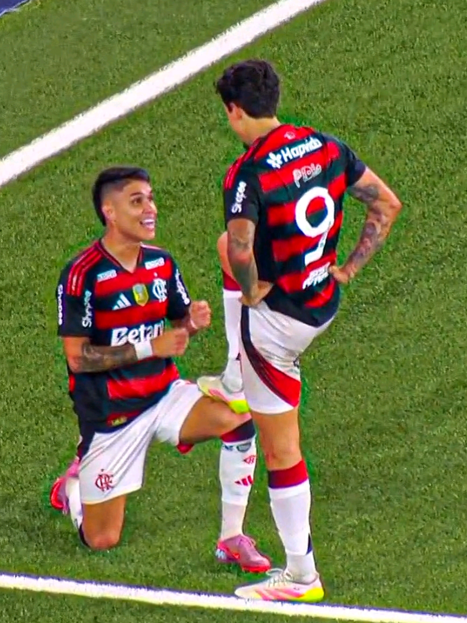 FLAMENGO VENCE BOTAFOGO POR 3X0, COM SHOW DE PEDRO!!! ##flamengo #botafogo #brasileirao #futebolbrasileiro #edit 
