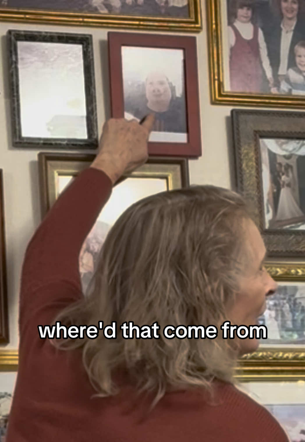 Putting John Pork in the family photos #funny #johnpork #timcheese #prank #brainrot 