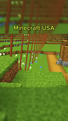 Minecraft USA #Minecraft #minecraftmemes #minecraftbuilding #gaming #fly 