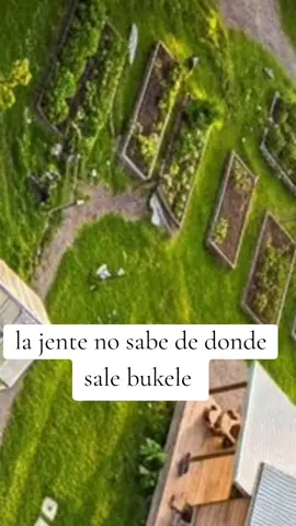 la gente no sabe de donde de sale bukele #parati #video #viraltiktok 
