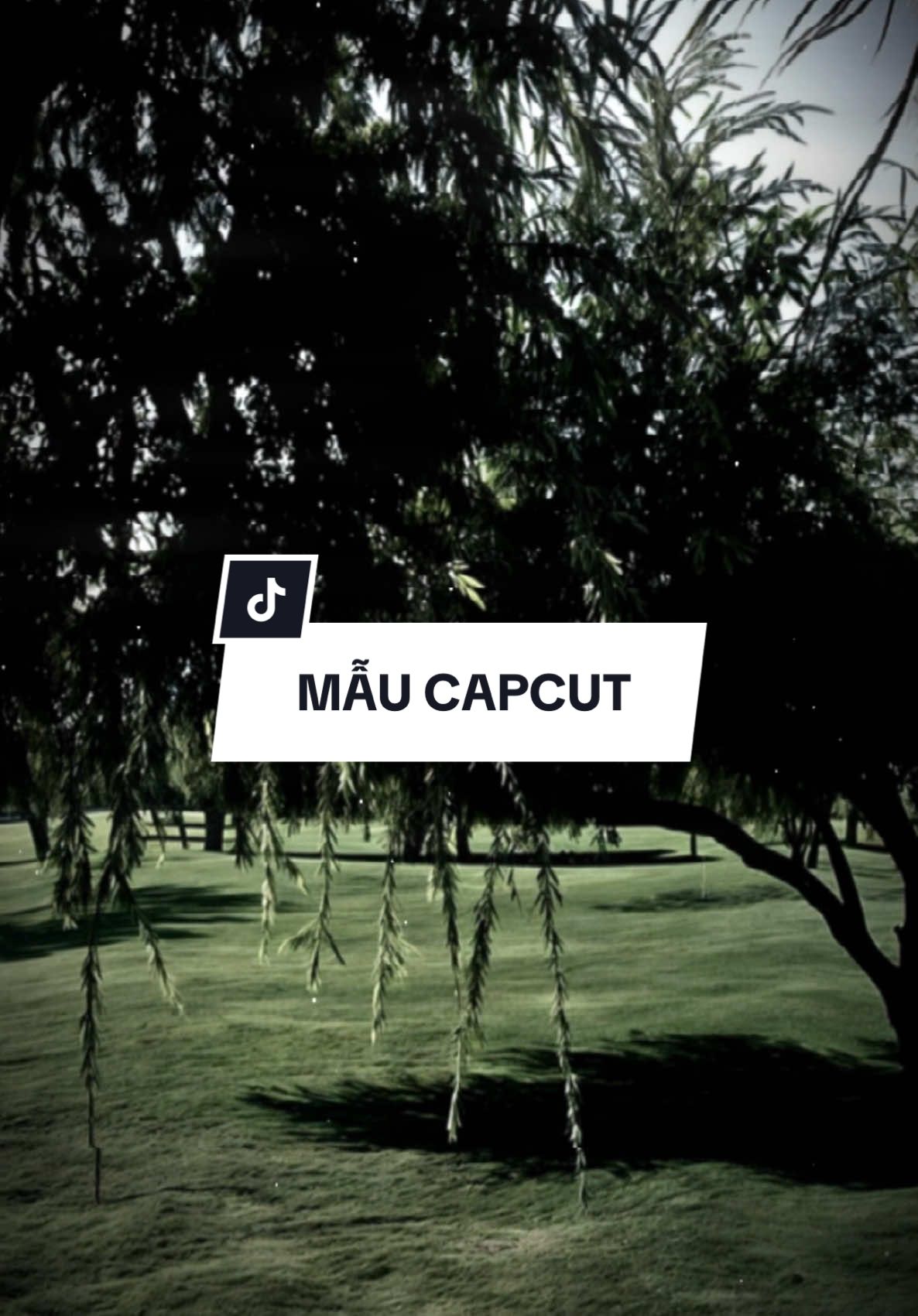 What đờ phắc tao được giáo dục…#capcut #capcutpioneer #pioneertemplate 