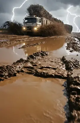 🤙🏻📱🇧🇴✅#viajes #transporte #video #choferes #goviral 