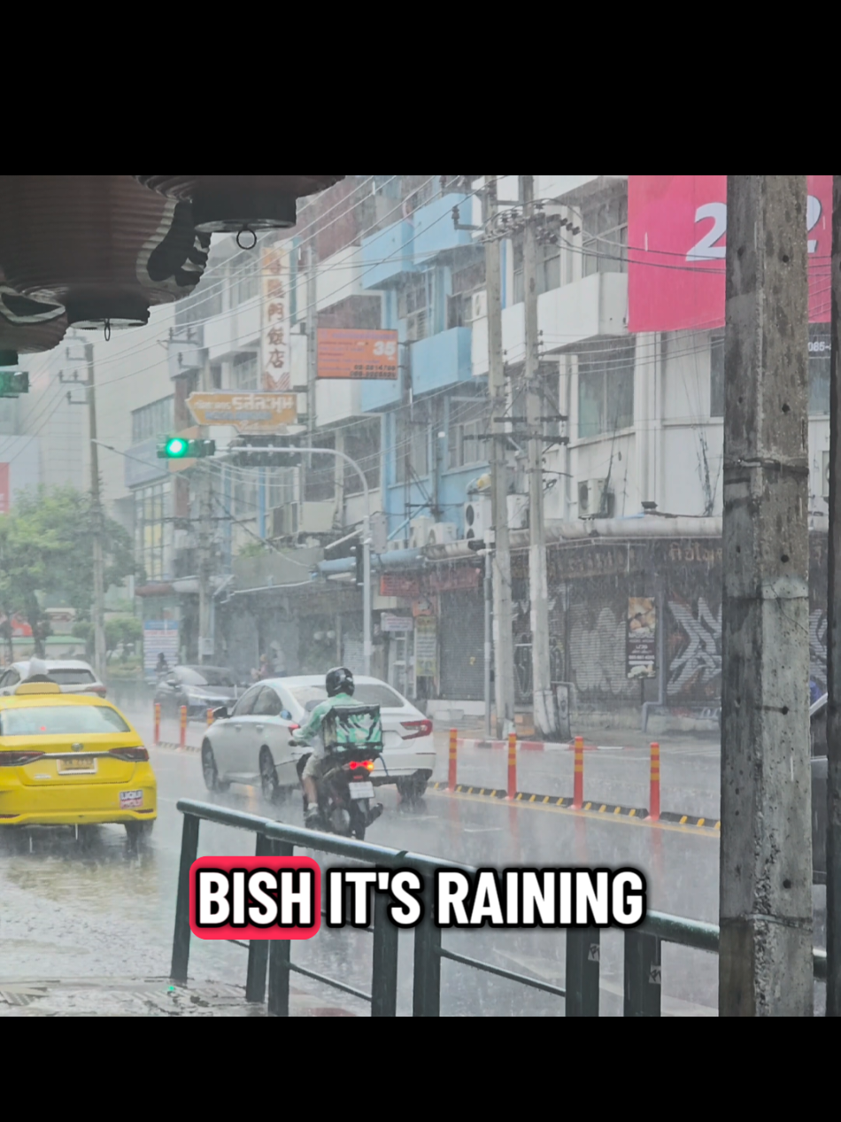 Gardening Delivery On A Rainy Day #livingabroad #lifeabroad #thailand #thailandlife #gardening 