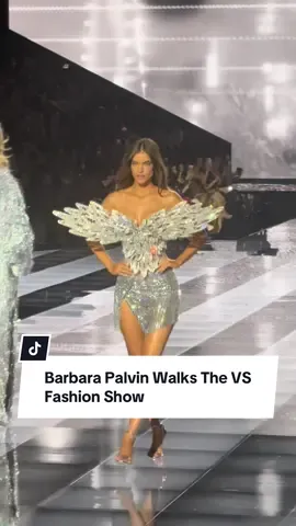 #DylanSprouse, can you FIGHT? #BarbaraPalvin #VSFashionShow 