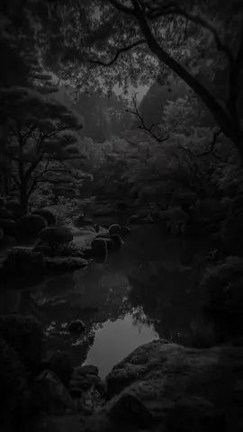 nghe hat mua roi xuong #hoangtu35 #nhactamtrang #nhachaymoingay #xuhuong2025 #fyp 