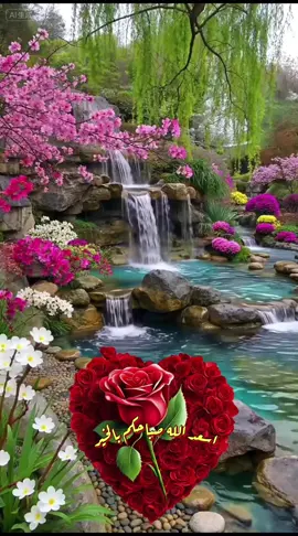 اسعد الله صباحكم بالخير#