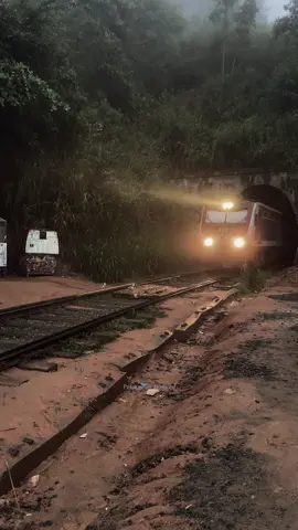 පාළුවට ගිය ආරුක්කු නමය පාලම..🍃🌿💚 #trending #srilanka🇱🇰 #viral #ninearchbridge #fyp 