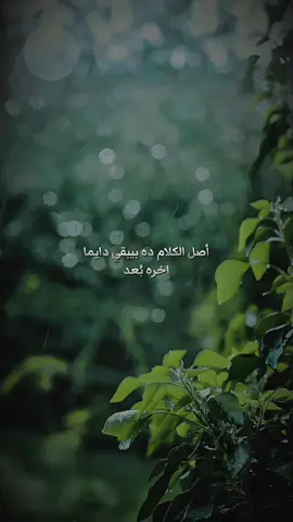 #اغاني #الشعب_الصيني_ماله_حل😂😂 #nature #fyyyyyyyyyyyyyyyy #fypシ゚ #song 