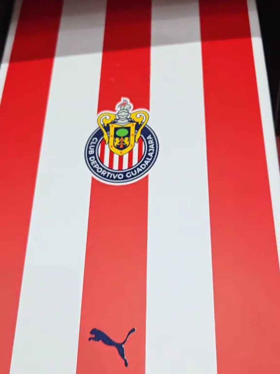 @PUMA @Chivas Belleza 😍🔥 #futbol⚽️ #chivas #puma #shoes #Soccer 