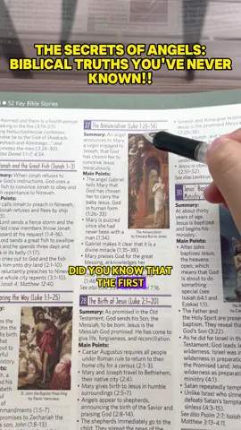 Missed Bible details? It guides you to God’s wisdom. #rosebookofbiblecharts#biblestudytools#biblecharts#christiansoftiktok