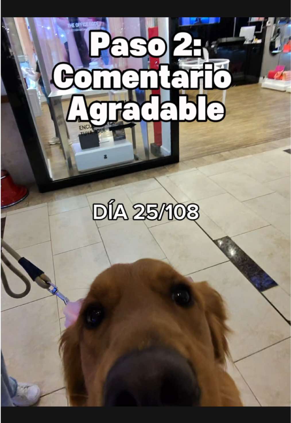 Respuesta a @𝙢𝙧 𝙀𝙣𝙧𝙞𝙦𝙪𝙚 💎♦️  Aquí les dejo el paso 2 para seguir mejorando nuestras habilidades sociales 🙌 #pov #habilidadessociales #socialanxiety #fypp #Viral 
