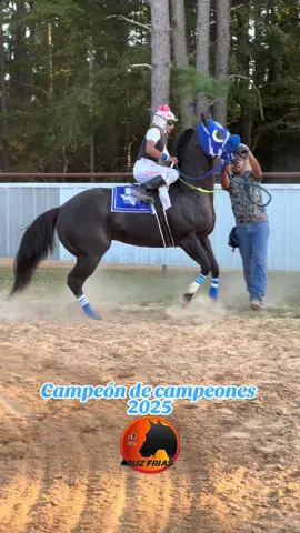 #carrerasdecaballos🐎🥇🏆🎖 #carrerasdecaballos 