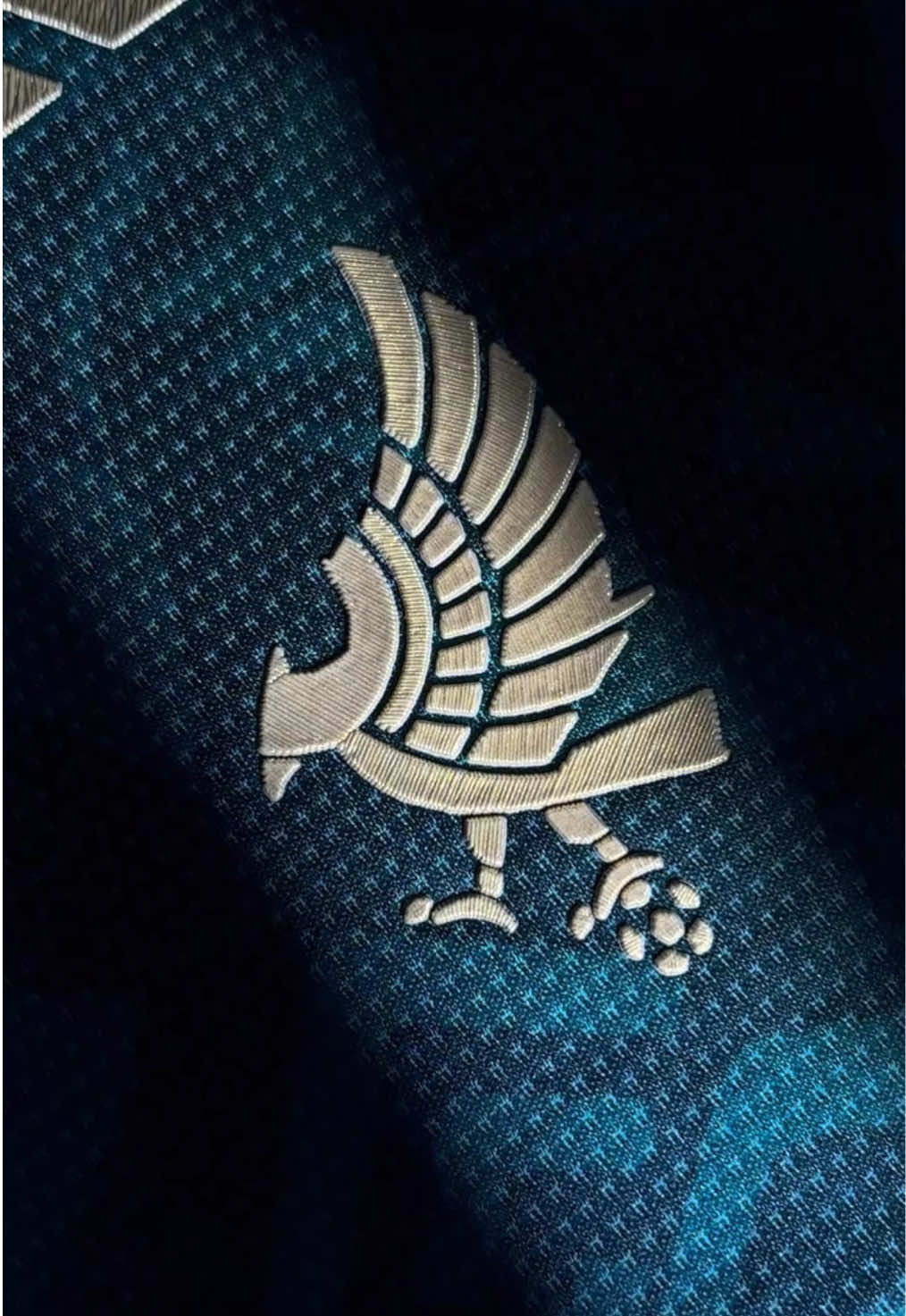 The new special edition of the Mexico national team's football jersey for 2025-2026. Do you like this jersey?#fyp #Mexico #seleccionmexicana #footballjersey #newjersey 