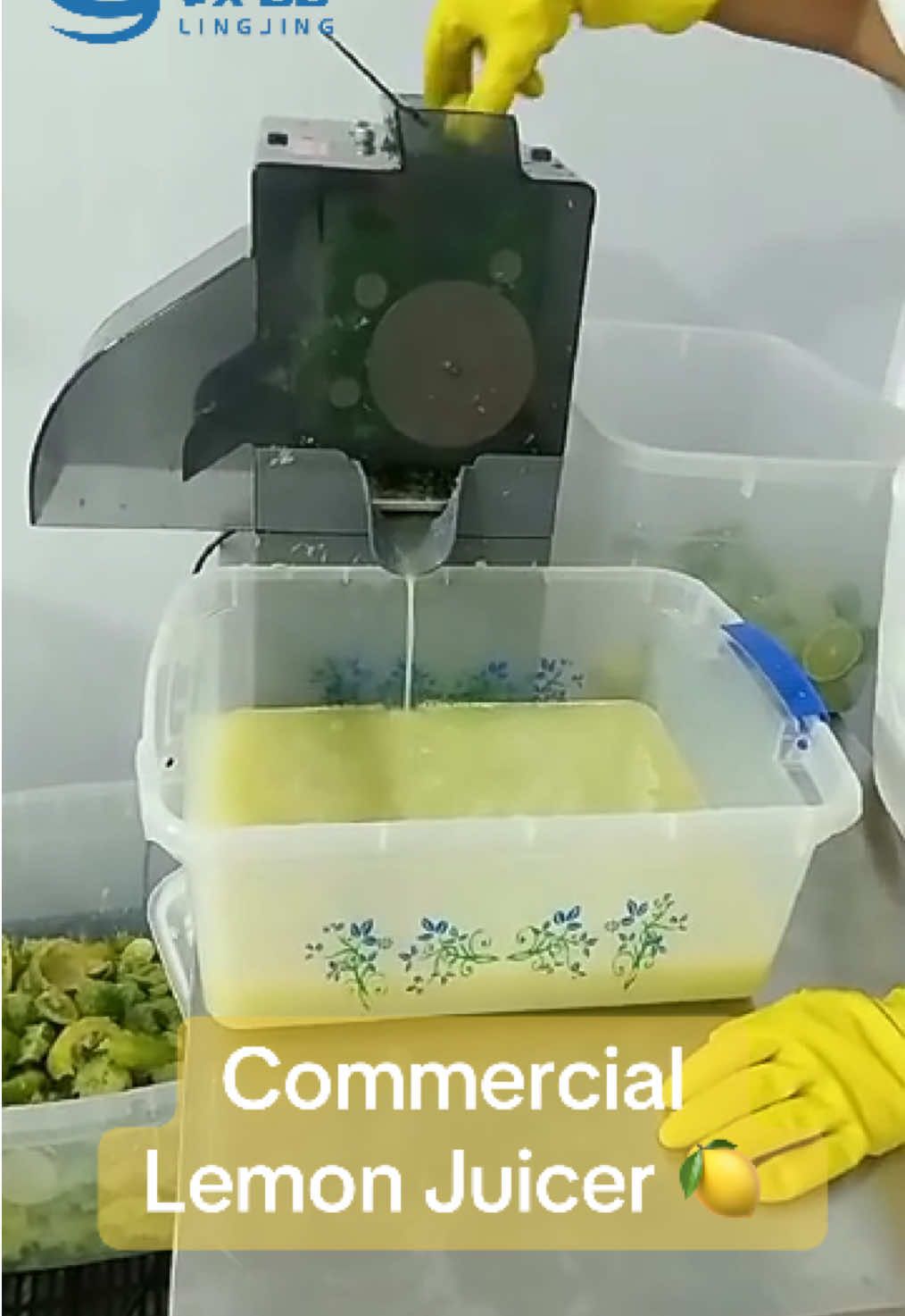 Commercial Lemon Juicer 🍋 Fast cold press, pure lemon juice in seconds! Perfect for juice bar & restaurant use. #lemonjuice #juicer #coldpressjuicer #commercialjuicer #juicerbar