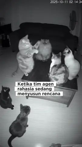 saat penyusunan rencana tim agen rahasia #kucinglucu #fyppppppppppppppppppppppp #kontenlucu 