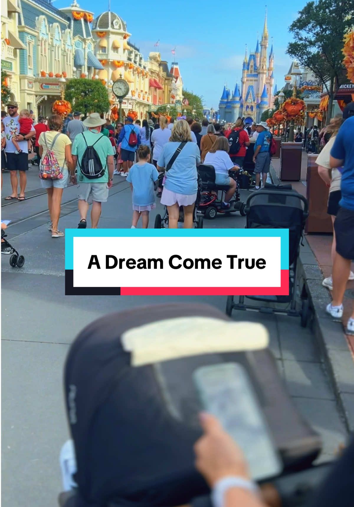 Beyond grateful for this time with my wife and son. It was a dream! #disney #disneyworld #dream #nostalgia #memories  @Morgan | SAHM ✨ 