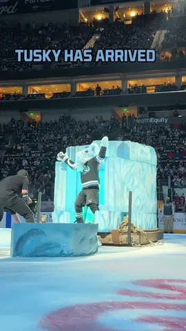 TUSKS UP!!! #hockey #NHL #utah #mammoth #mascot 