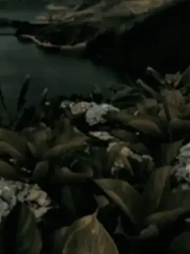 #CapCut #hytemplate #storytime #foryou #fyp