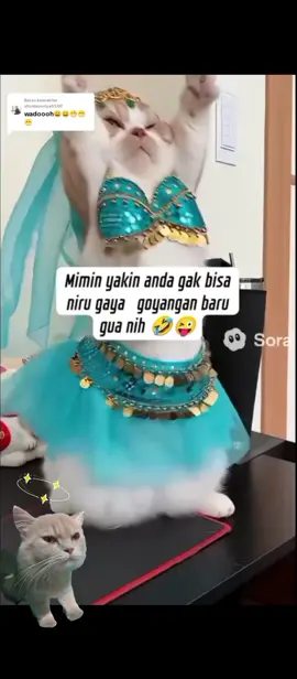 Membalas @shintanuriyah509 😆🤭