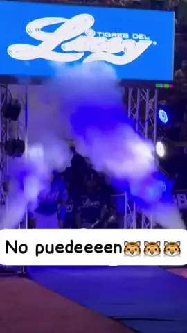 #vamosarriba #teamlicey💙💙💙💙💙💙💙 #🐯🐯 #nopuedeen 