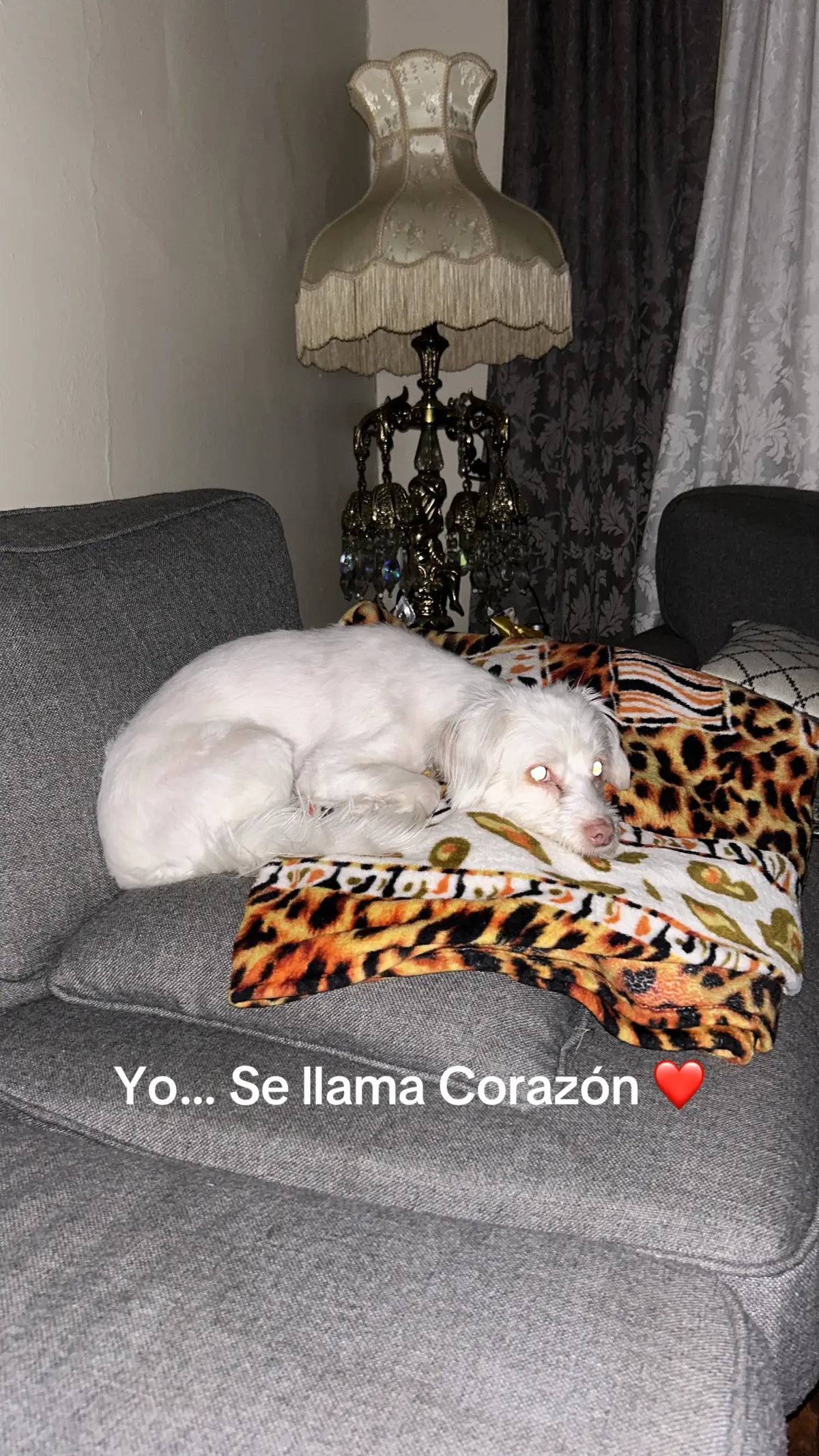 #parati#❤️❤️❤️#noemi#