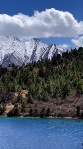 #newaccountplzsupport 🙏 #fyp #visitnepal 🇳🇵 #mountain 🏞🤗 #creatorsearchinsight 