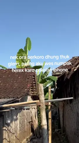 kabeh iki perkoro 1juta wes horeg🤣#af_audiosoundsystem #soundsystem #soundsystemjawatimur 