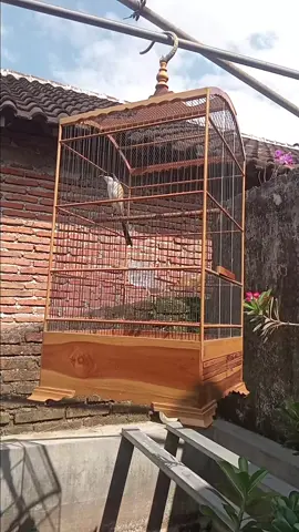 PAUD 6 BULAN BELAJAR MEMBACA GREJA PANJANG PLUS TENGKEK PANJANG...😇🥰