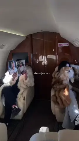 Not an idea, a lifestyle. #privatejet #fyp #aerajets #flyprivate #jetbroker 