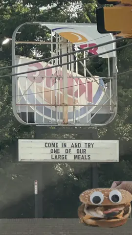 Burger King Sign Decay_ A Haunting Portrait of Corporate Relics