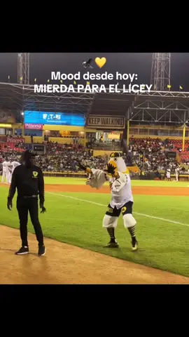enemigos esta febrero 🤣        #aguilascibaeñas #aguilas #licey #mieldapallicey🦅💪 
