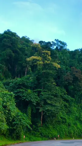 Thế giới mà mình đang nhìn thấy chính là ánh mắt của bạn #ngam #thaydoibanthan #xuhuong 