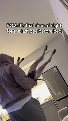 I hate when he leaves me😭 #dogsofttiktok #whippetdog #sighthound #dogtok #myshayla 