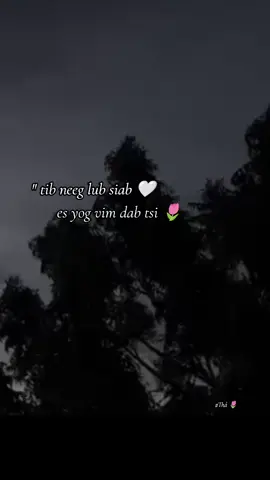 #xh #hmoob 