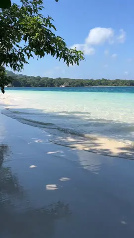 Kuy liburan open trip ke PULAU PEUCANG UJUNG KULON..  Setiap weekend dan weekday berangkat Meeting point jakarta tangerang serang pandeglang & Dermaga sumur (legon guru)  Cek profil WA 082246260094 IG: visit_ujungkulon #pulaupeucang #ujungkulon #pandeglang #banten #opentrippulaupeucang       