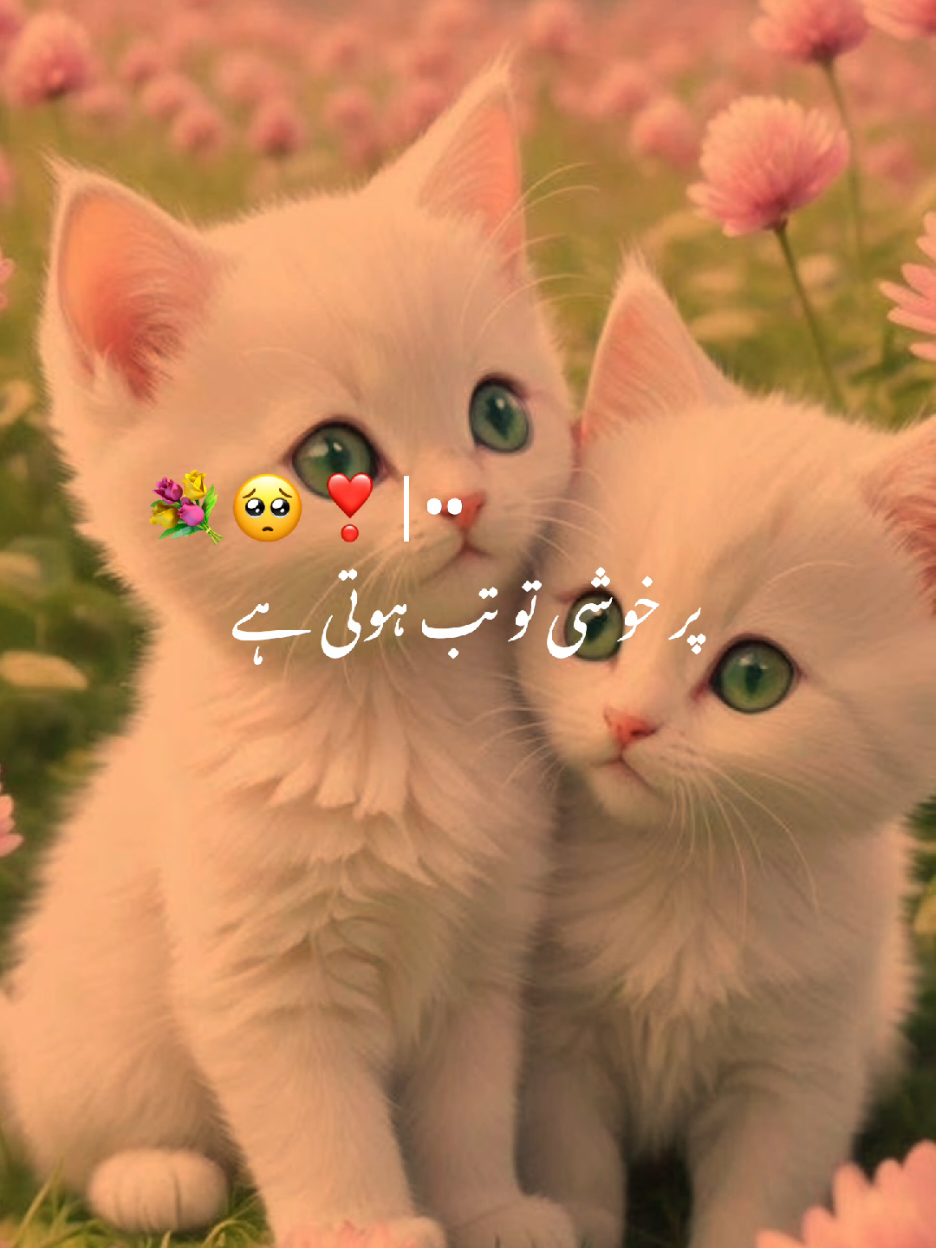 Dear TikTok team please don't under review my video 🙏🙏🙏