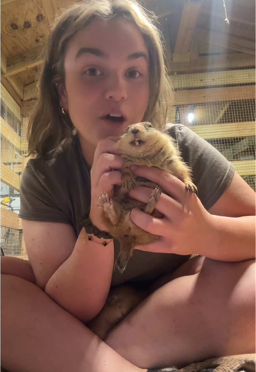 I love my prairie dogs ❤️ #animal #animals #cute #exotic 