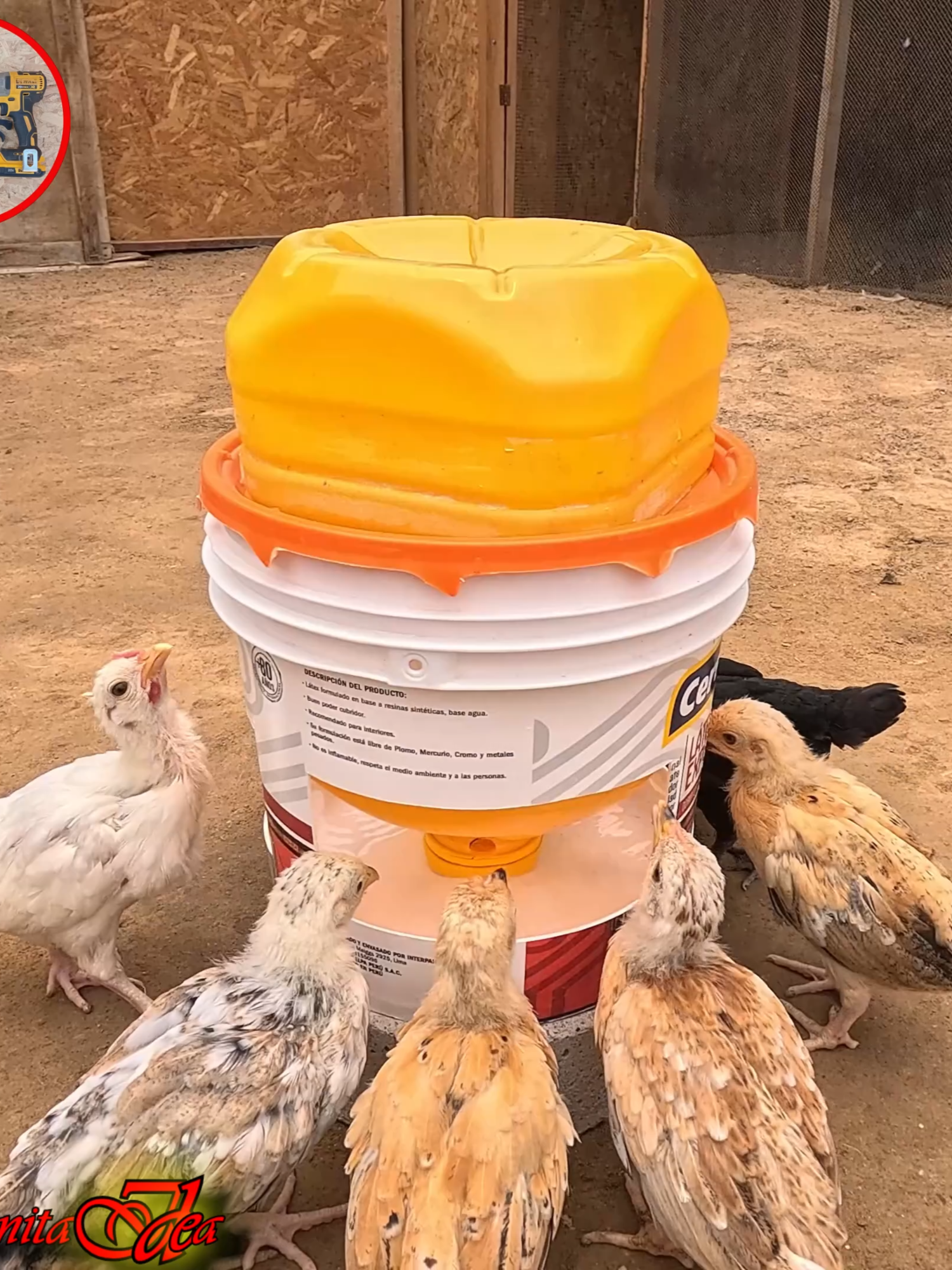 Mira esta excelente idea para criar a tus Pollitos 📷📷 un Bebedero Automático hecho solo con materiales Reciclados 📷📷.