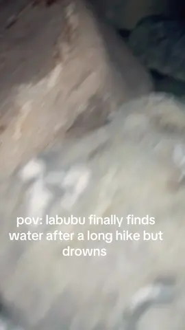 labubu is safe #labubu #pov 