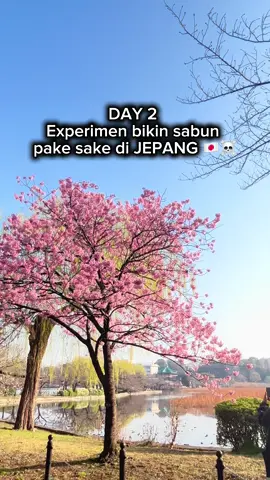 Next ke negara mana lagi, komen dongg 😍 #sabunorganik #sabunherbal #handmadesoap #sabunnatural #thesoapstory @THE SOAP STORY @THESOAPSTORY 