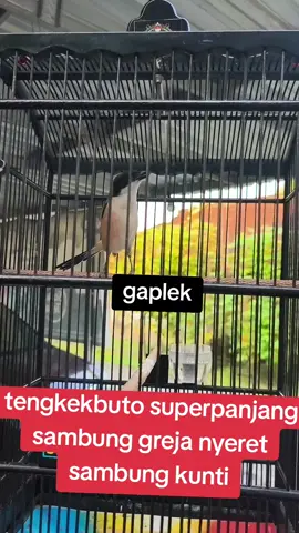 materi superdasyat #semuaorang #pengkut #sorotan