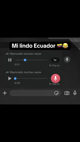🇪🇨😂😂 #fyp #humor #tiktokviral #ecuador 