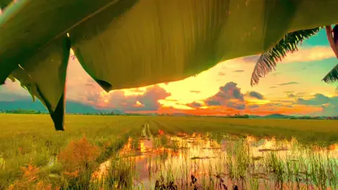 Bình thường mà sống cứ hơn thua nhau làm gì #canhdepmientay #xuhuongtiktok2025 #binhyen #tamtrang #anchilll 