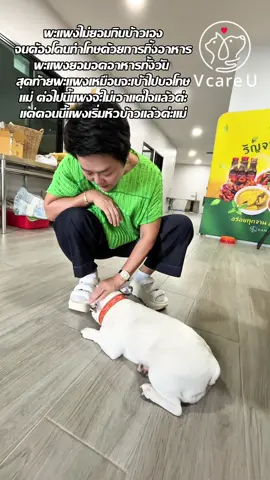 แพงขอโทษค่ะแม่#พะแพง #พะแพงคนสวย #วีแคร์ยูไทยแลนด์ #พี่ไก่เลี้ยงหมา17ตัว #สัตว์เลี้ยงtiktok 