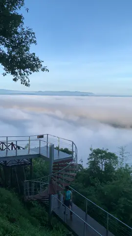 ⛰️⛅️ ตื่นให้เร็วขึ้น ทำอะไรที่ไม่เคยทำ ลองกินอะไรใหม่ๆ ทำในสิ่งที่ต่างออกไป ผลลัพธ์มันก็จะเปลี่ยนไป #ภูบ่อบิด #ทะเลหมอก #จังหวัดเลย 