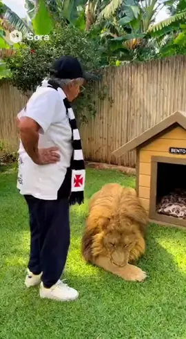 Aqui é VASCOOOOO!!!!! Respeita a nossa história 💢❤️ #vascodagama  #vovovascaina  #respeitaanossahistoria #rayan #djdvdavasco 