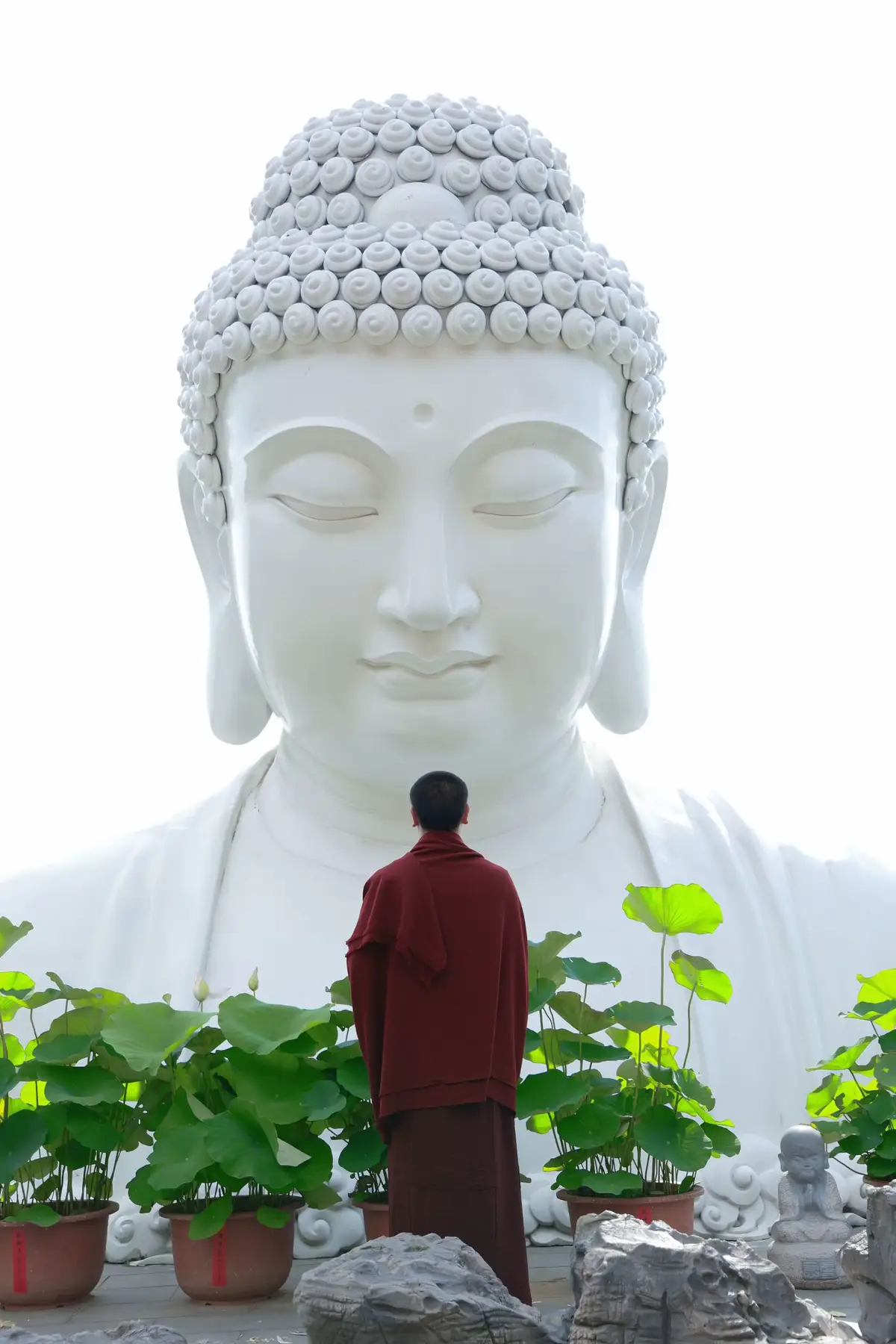 看取莲花净 应知不染心。有为皆是幻 何事不成空。#东庐山观音寺